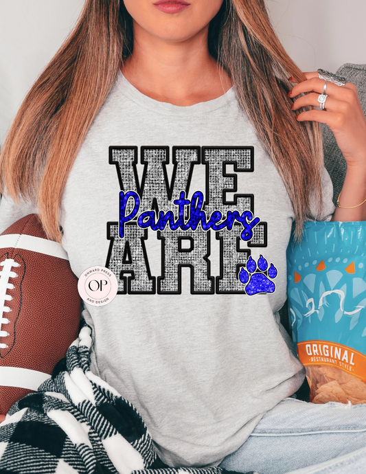 We Are Panthers School Football